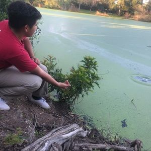 Meet your Posher, Samuel